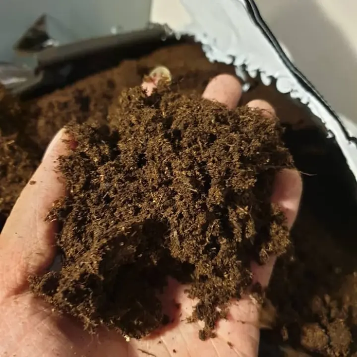 Kusus Hari Ini Media Tanam Peat Moss Sphagnum Peat Moss Peatmoss 1kg 1000 Gram Terbatas Lazada Indonesia Kusus Hari Ini Media Tanam Peat Moss Sphagnum Peat Moss Peatmoss 1kg 1000 Gram Terbatas Lazada Indonesia