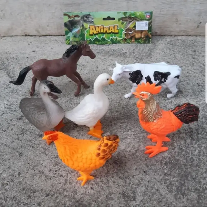 62 Gambar Hewan Ternak Unggas Gratis Terbaik