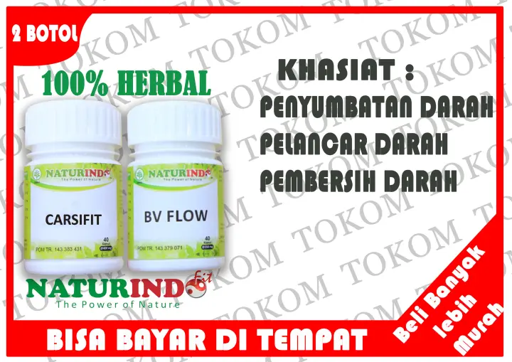 Herbal Untuk Melancarkan Peredaran Darah Penyumbatan Pembuluh Darah Melancarkan Aliran Darah Ke Otak Darah Mengental Pembersih Darah Lazada Indonesia