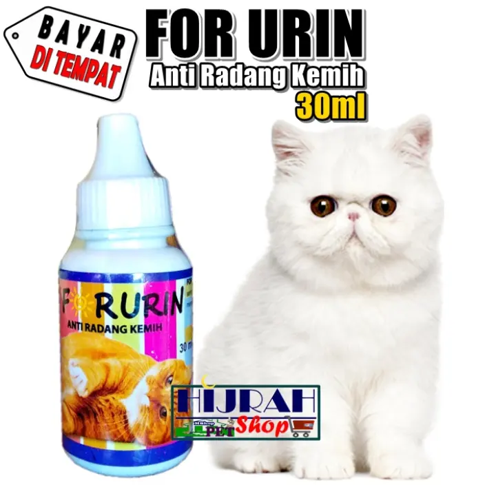 Obat Kucing Obat Kucing Sakit Kencing Sakit Infeksi Kandung Kemih Kencing Berdarah Sembelit For Urin Kemasan Tetes 30ml Hijrah Pet Shop Lazada Indonesia