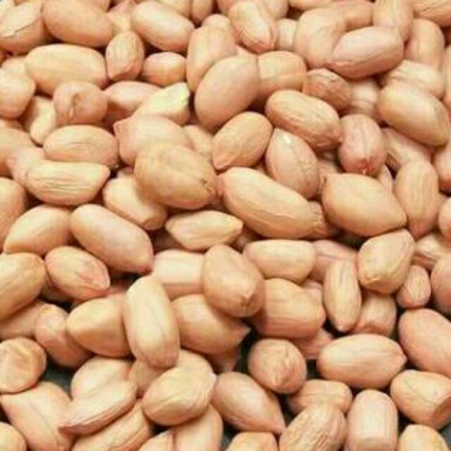 kacang tanah tuban
