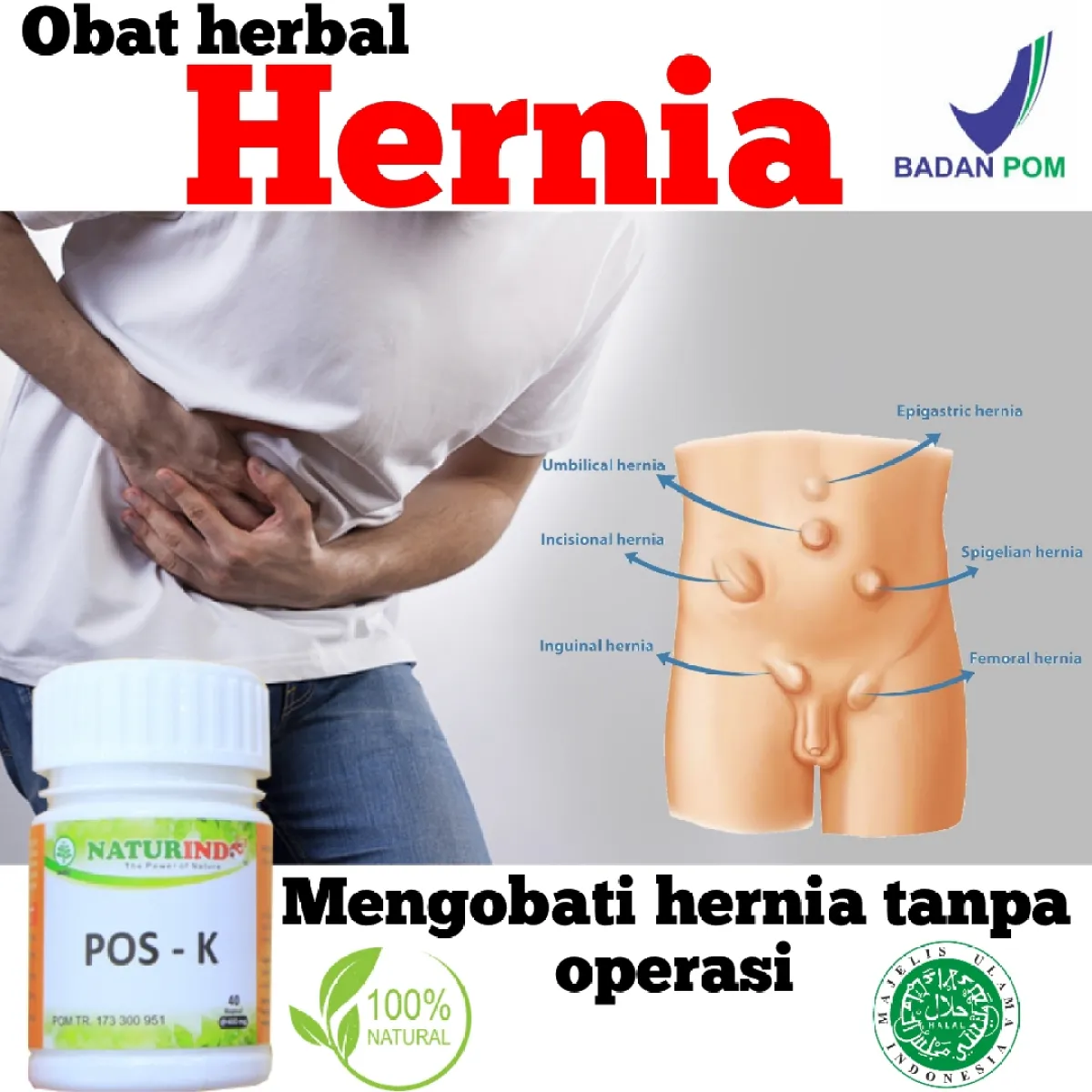 Obat Herbal Hernia 5