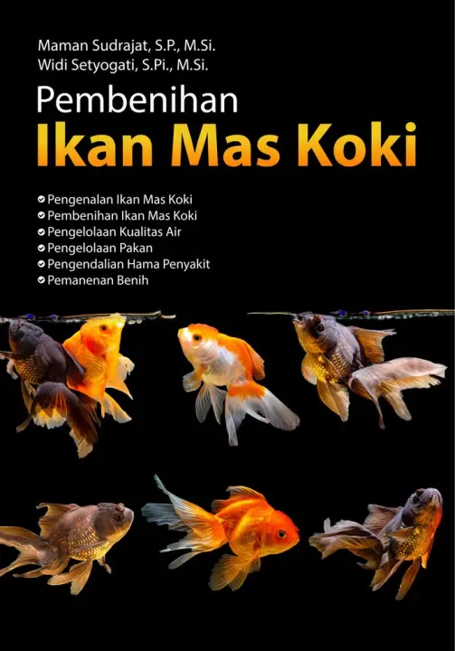 Cara Membedakan Ikan Koki Jantan Dan Betina - Hewanpedia