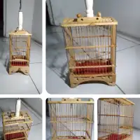 Sangkar Burung Kecil Lazada Indonesia