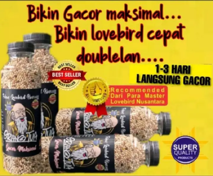 Pakan Kenceng Cetak Doublelan Lovebird Lazada Indonesia<script async src=
