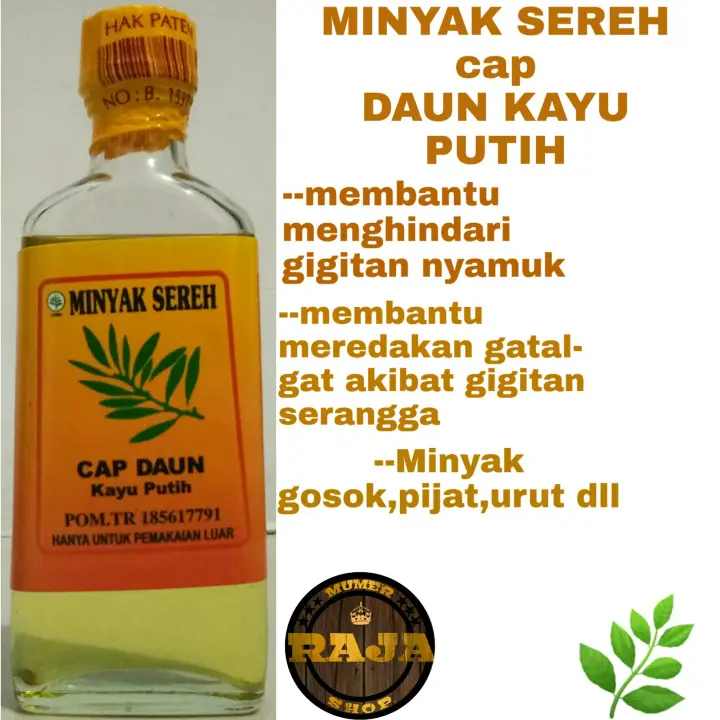 Minyak Sereh Cap Daun Kayu Putih Isi 60 Ml Lazada Indonesia