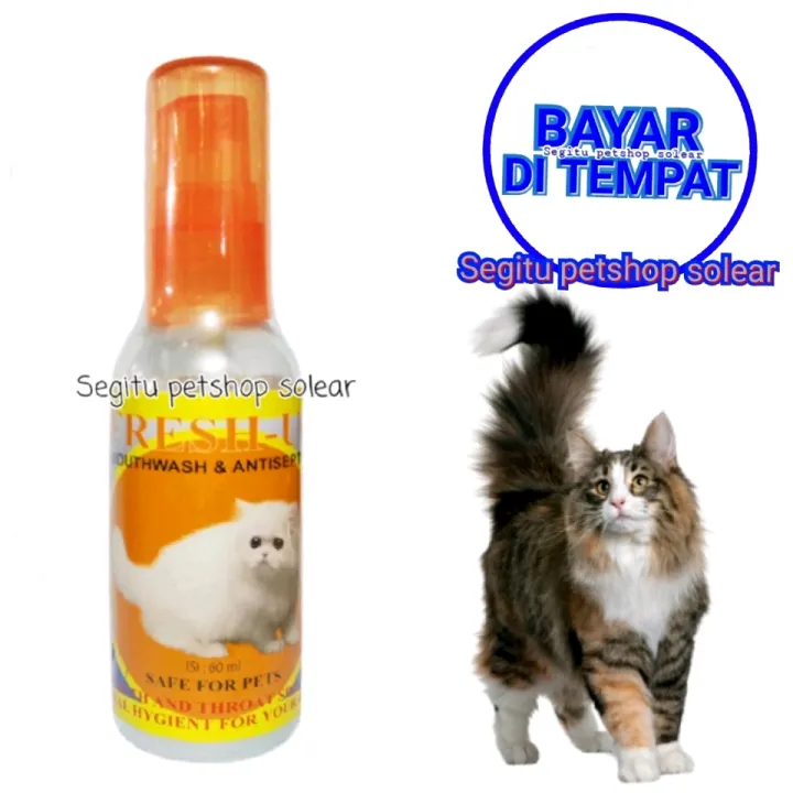 Obat Kucing Sariawan Sakit Tenggorokan Bau Mulut Susah Makan Lemas Kitten Fresh Up 60 Ml Lazada Indonesia