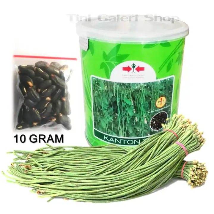 Benih Sayuran Biji Kacang Panjang Kanton Tavi Cap Panah Merah Kemasan 10 Gram Lazada Indonesia