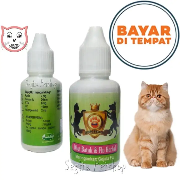 Obat Flu Batuk Kucing Bersin Anjing Hidung Pilek Herbal Raid All Lazada Indonesia