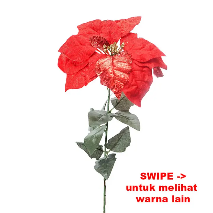 Murah Hiasan Bunga Poinsettia 1 Kuntum Besar Panjang Kreasi Bunga Hias Natal Merah Tersedia Juga Nama Hiasan Natal Membuat Hiasan Natal Harga Hiasan Natal Hiasan Natal Dari Kertas Hiasan Natal Di Pintu Hiasan Natal Di Dinding