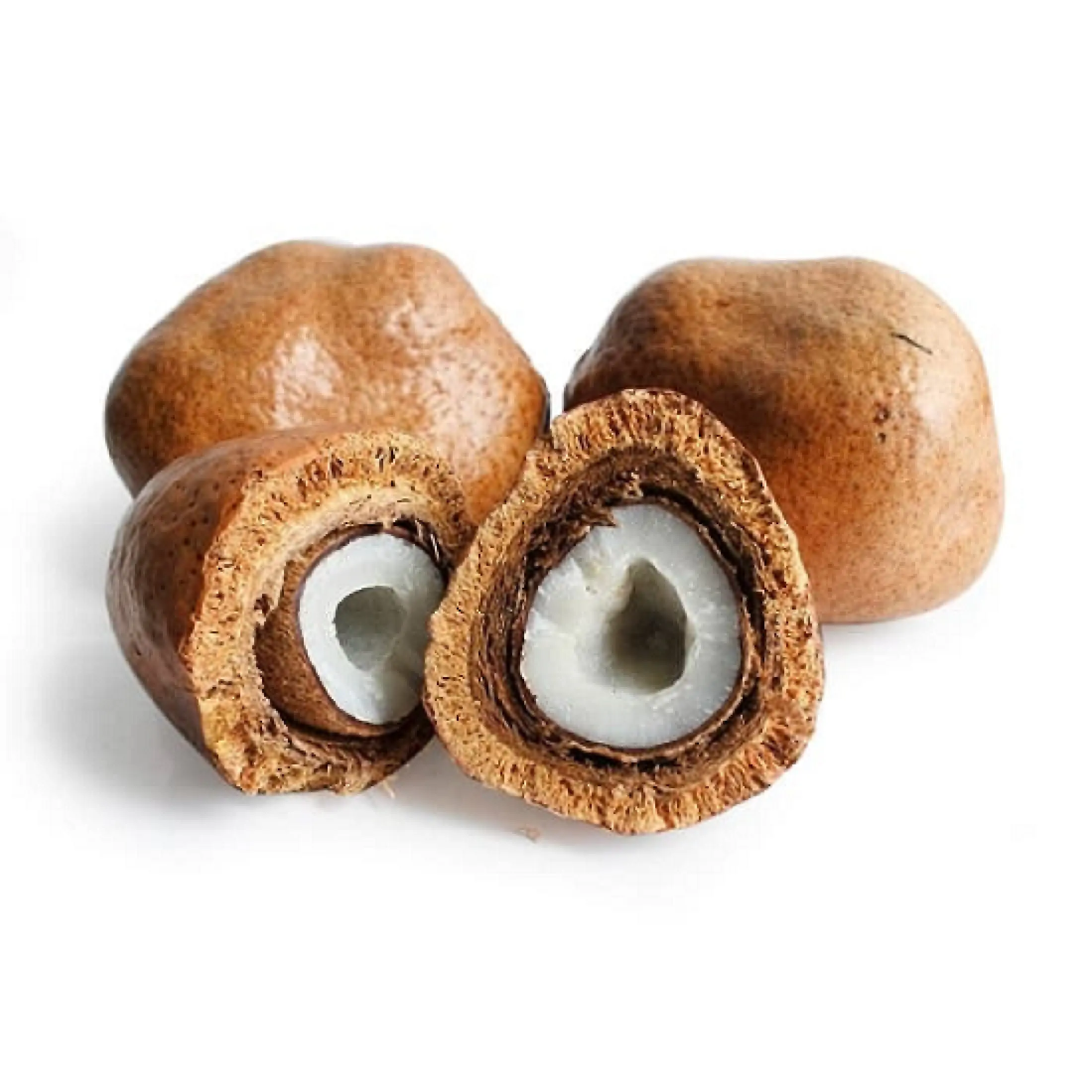 Buah Zuriat 1 Biji Buah Zuriat Mesir Original Lazada Indonesia
