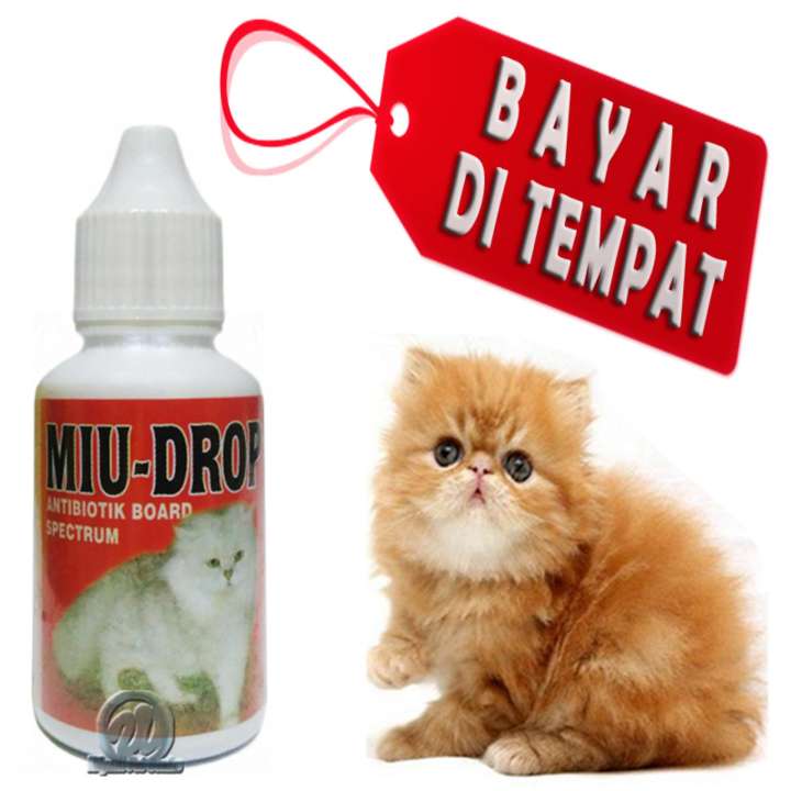Obat Antibiotik Kucing Sakit Lemas Ngorok Flu Demem Kitten Miu Drop Lazada Indonesia