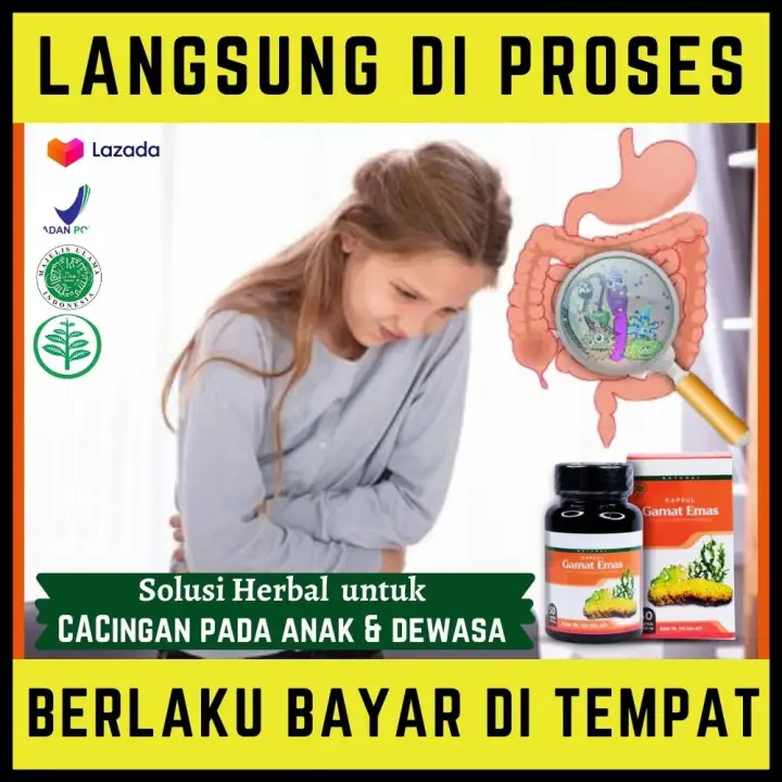 Obat Untuk Cacingan Herbal 50 Kapsul Gamat Emas Obat Cacingan Alami Buat Anak Dan Dewasa Obat