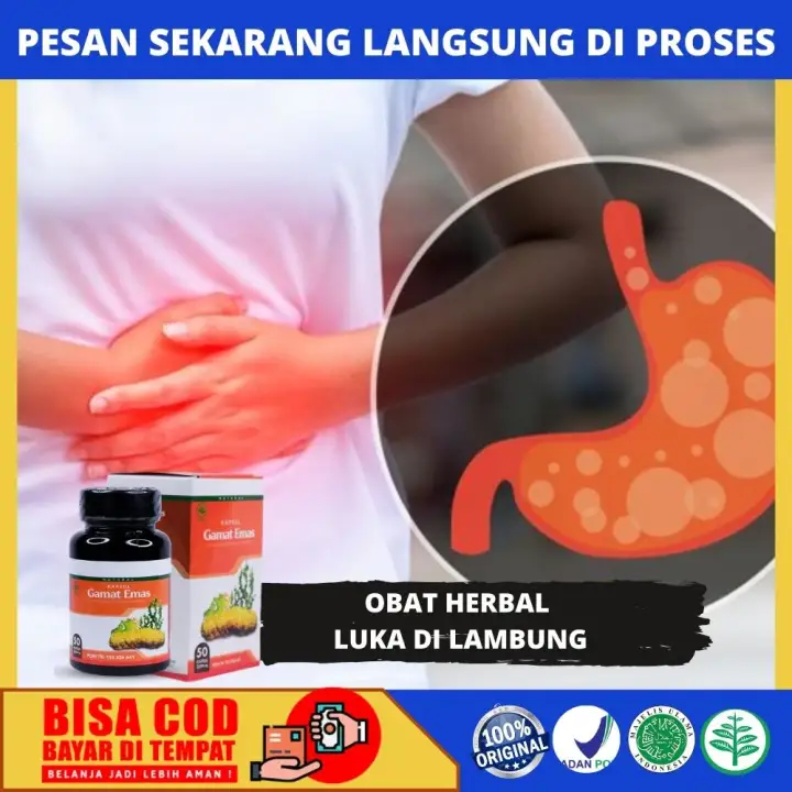 Murni 500mg Obat Herbal Sakit Luka Lambung Obat Saraf Lambung Lambung Bocor Radang Lambung Kanker