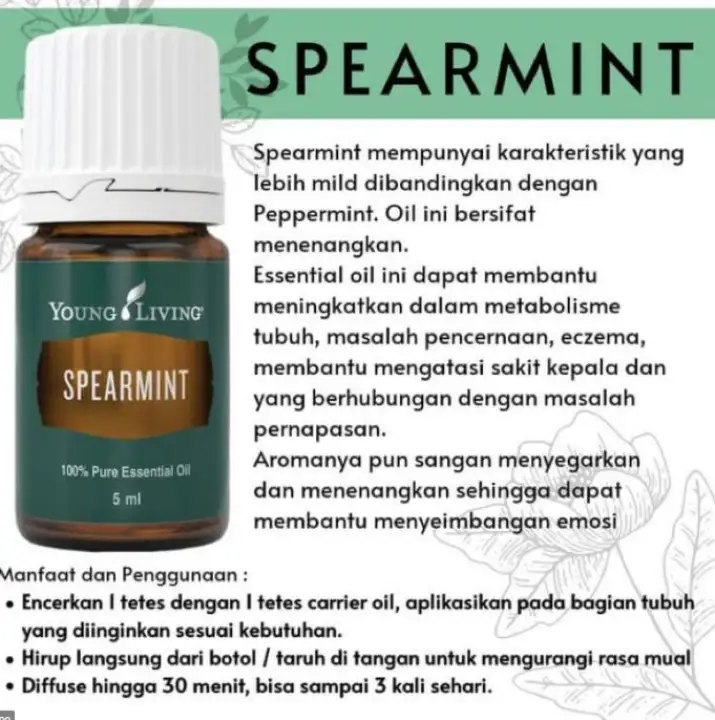 Spearmint Young Living Essential Oil 5ml Lazada Indonesia