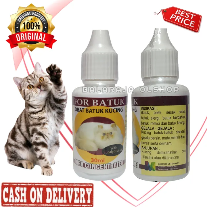 Obat Batuk Kucing Sakit Pernafasan Flu Dan Pilek - For Batuk 30 Ml 