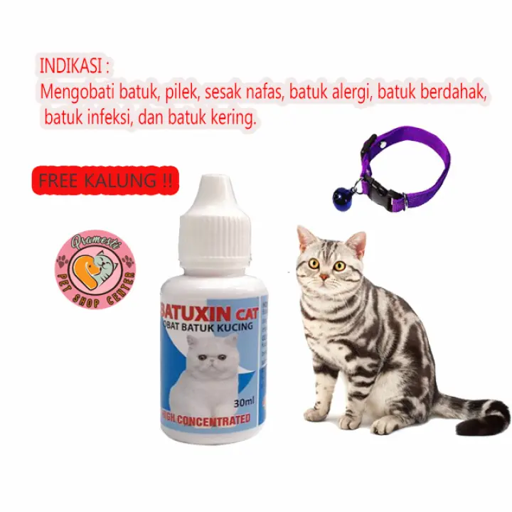 Obat Batuk Kucing Sakit Flu Pilek Batuxin Cat FREE KALUNG KUCING