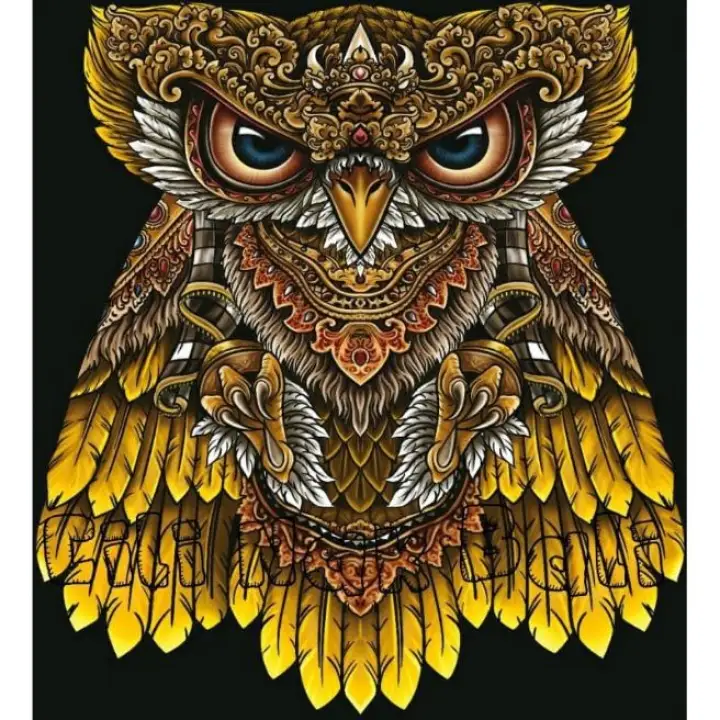 Layangan Burung Hantu Print Knockdown Ukuran 100x80 Siap Terbang Lazada Indonesia