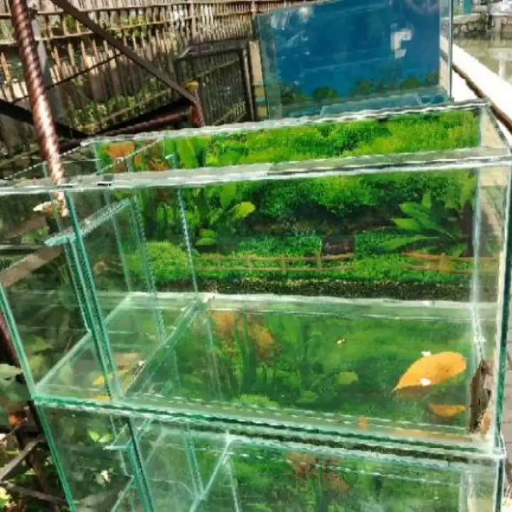 770 Dekorasi Aquarium Filter Samping HD Terbaru