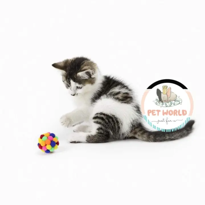 Bisa Cod!) Pom Catnip Ball - Mainan Kucing Bola Bulu Gigit Cat Toy 