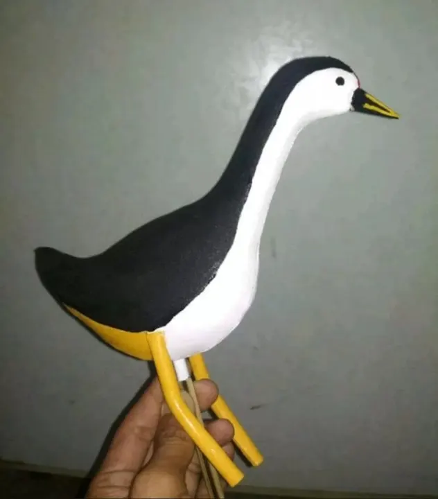 530+ Sketsa Gambar Burung Ruak Ruak HD Terbaik