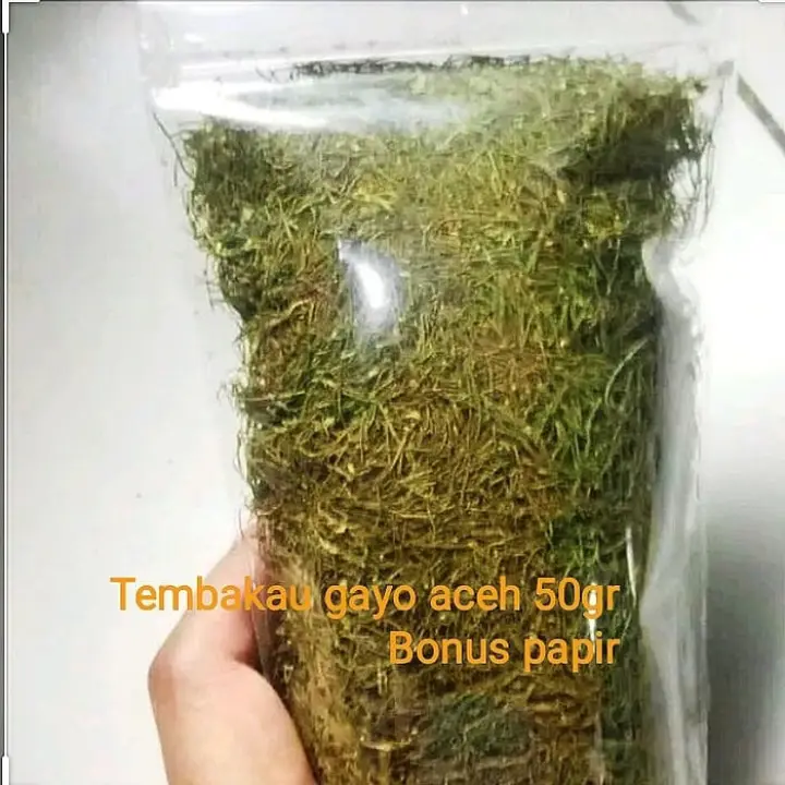 Tembakau Gayo Aceh 50gr Lazada Indonesia