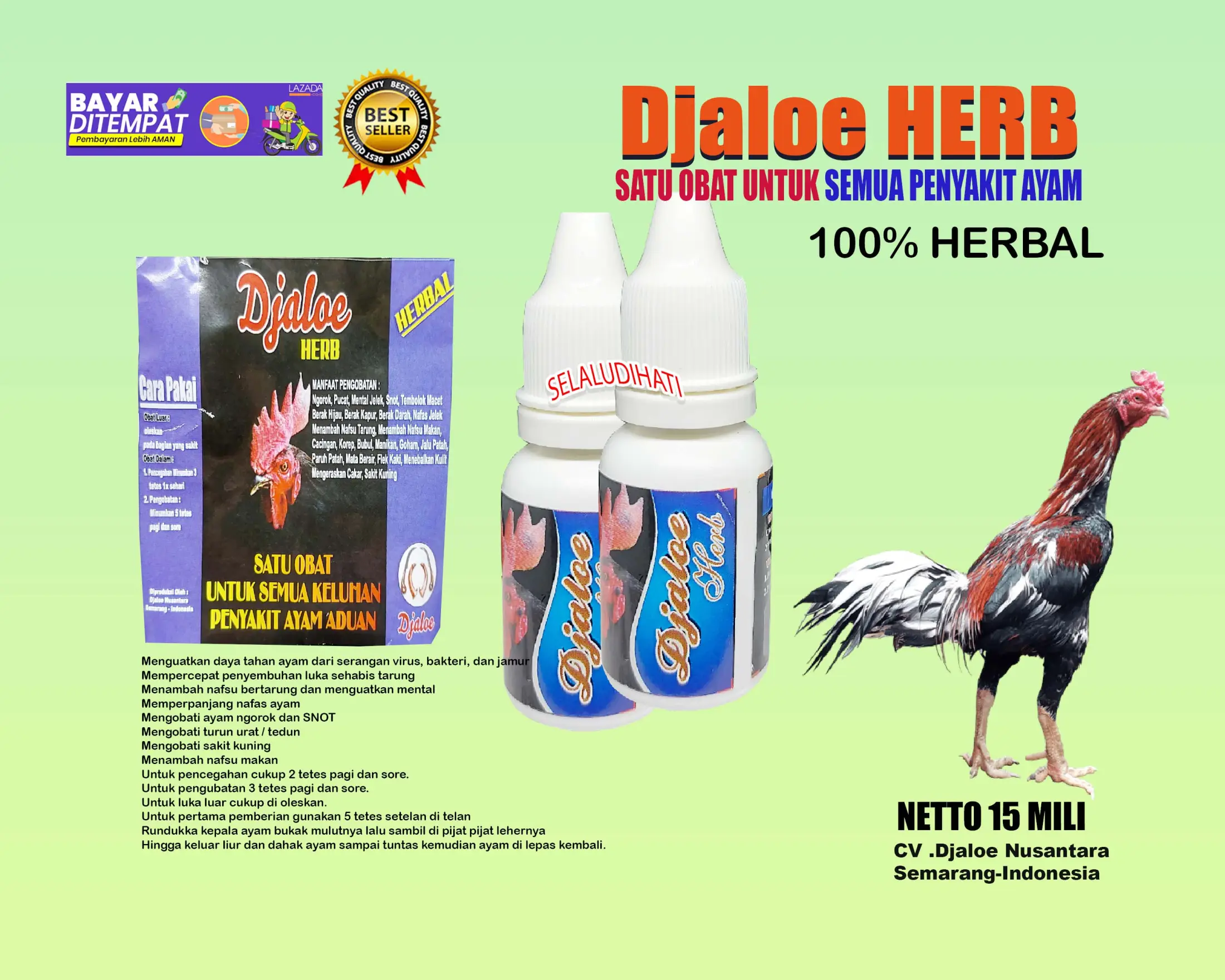 780 Koleksi Gambar Semua Unggas HD