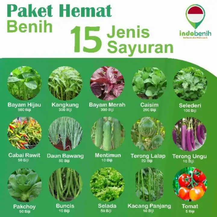 Cod Bibit Sayuran Paket Bibit Benih 15 Jenis Sayur Bibit Sayuran Kol Bibit Sayuran Benih Bibit Sayuran Pare Bibit Sayuran Lenca Bibit Sayuran Sawi Bayam Best Seller55 Lazada Indonesia