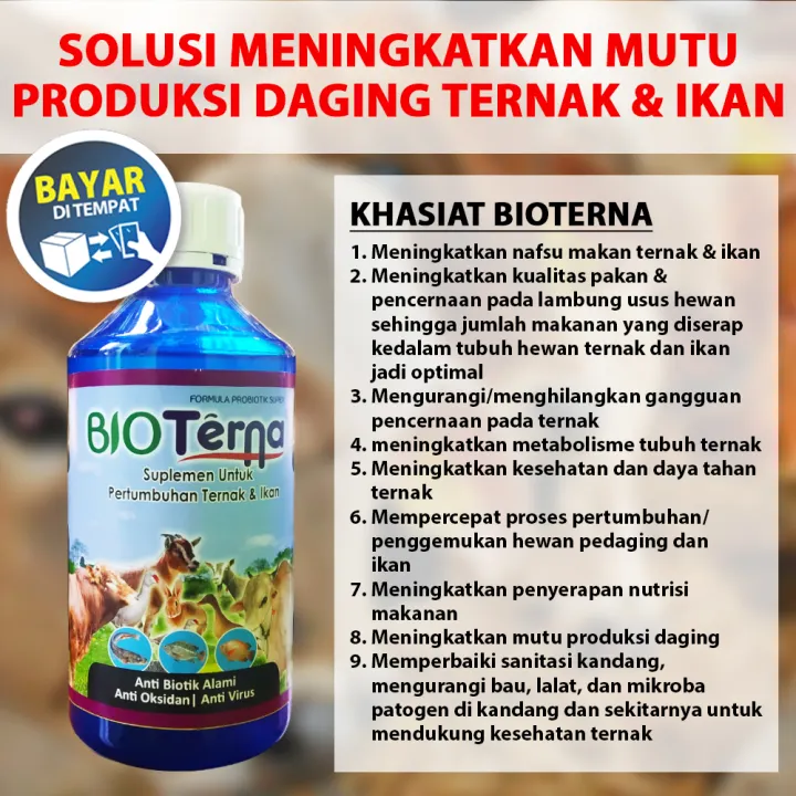 Probiotic Atau Prebiotik Suplemen Sapi Kambing Ikan Bioterna 1000ml Mengandung Antibiotik Hewan Nutrisi Sapi Nutrisi Kambing Nutrisi Ikan Anti Oksidan Anti Virus Sebagai Obat Penggemuk Sapi Obat Ternakkambing Obat Ikan Lele Obat Ikan Gurame Obat