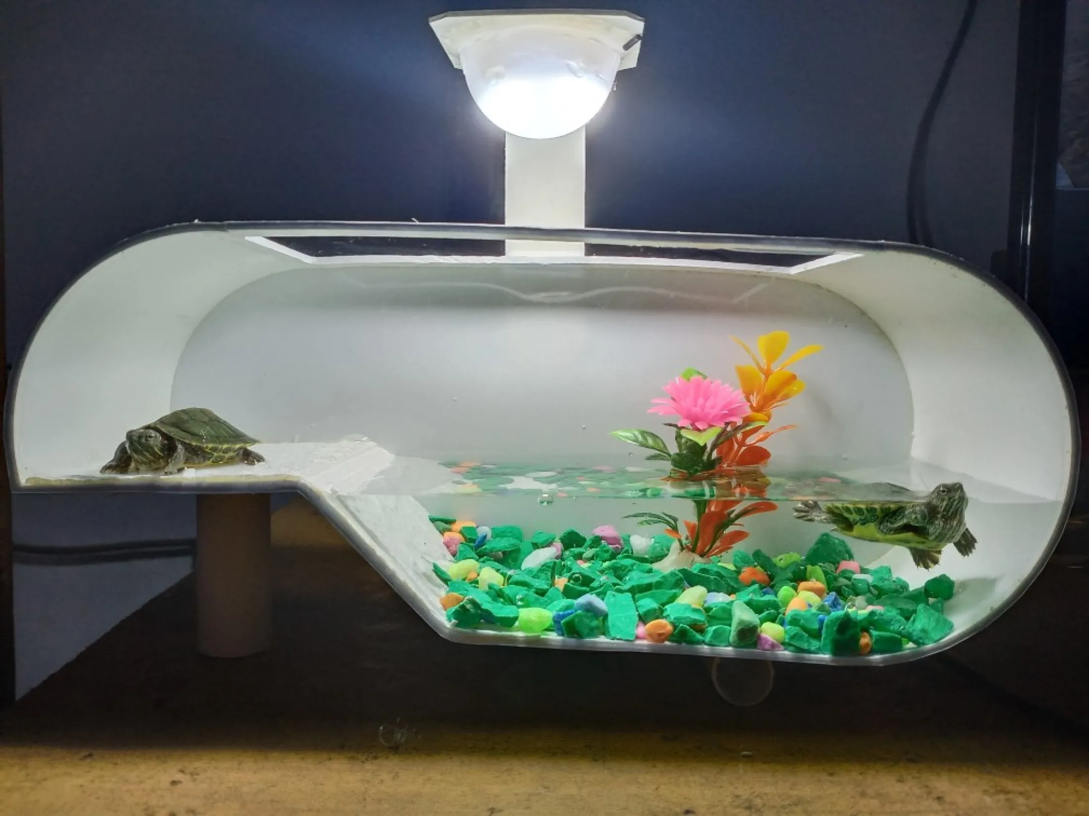 Aquarium Kura Kura Brazil Lengkap Lampu Dan Hiasan Lazada Indonesia