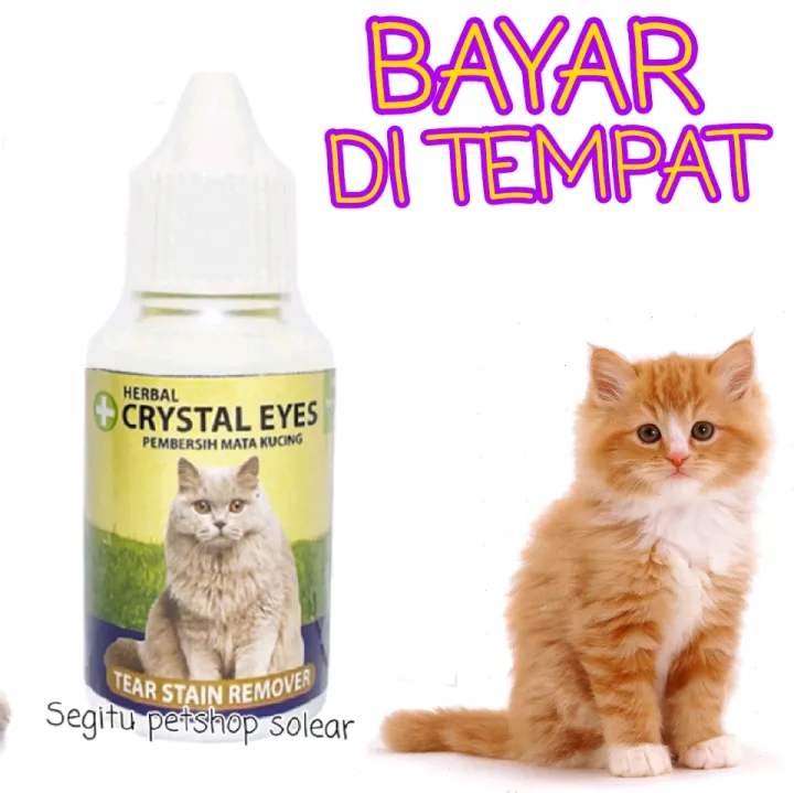 CRYSTAL EYES OBAT TETES MATA KUCING KITTEN SAKIT BENGKAK DAN MERAH 