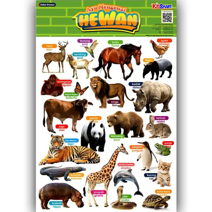 Poster Edukasi Hewan Alat Peraga Pendidikan Media Belajar Balita Dan Anak Lazada Indonesia