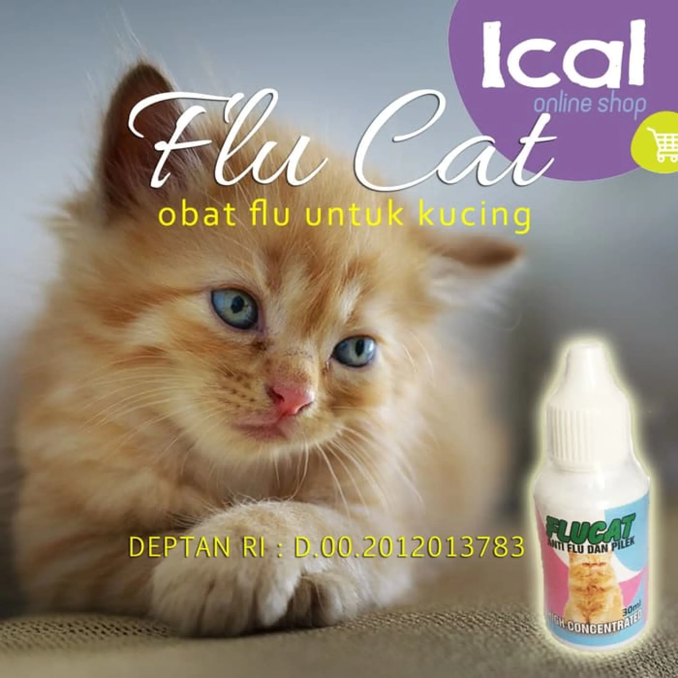 Flucat Obat Flu Dan Pilek Untuk Kucing-READY COD/vitamin kucing 