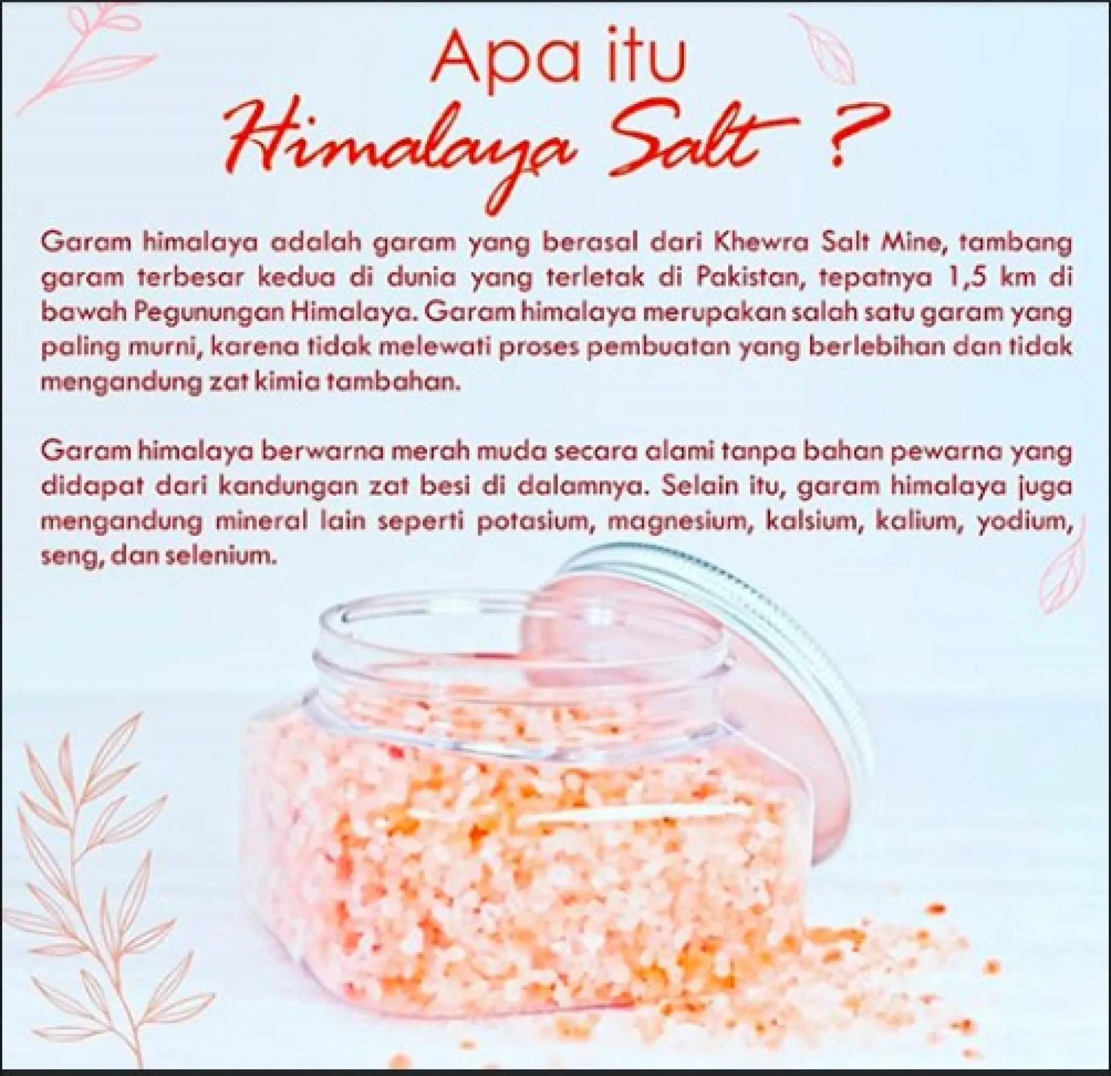 Herb King Garam Halus Dan Kasar Himalaya Ibnu Sina 1 Kg Harga Promo Garam Multi Manfaat Lazada Indonesia