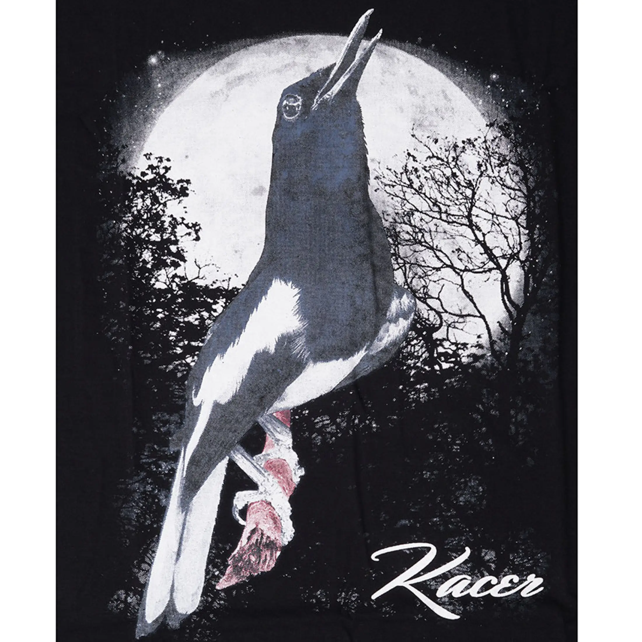 86+ Gambar Burung Hitam Putih Keren Terbaik