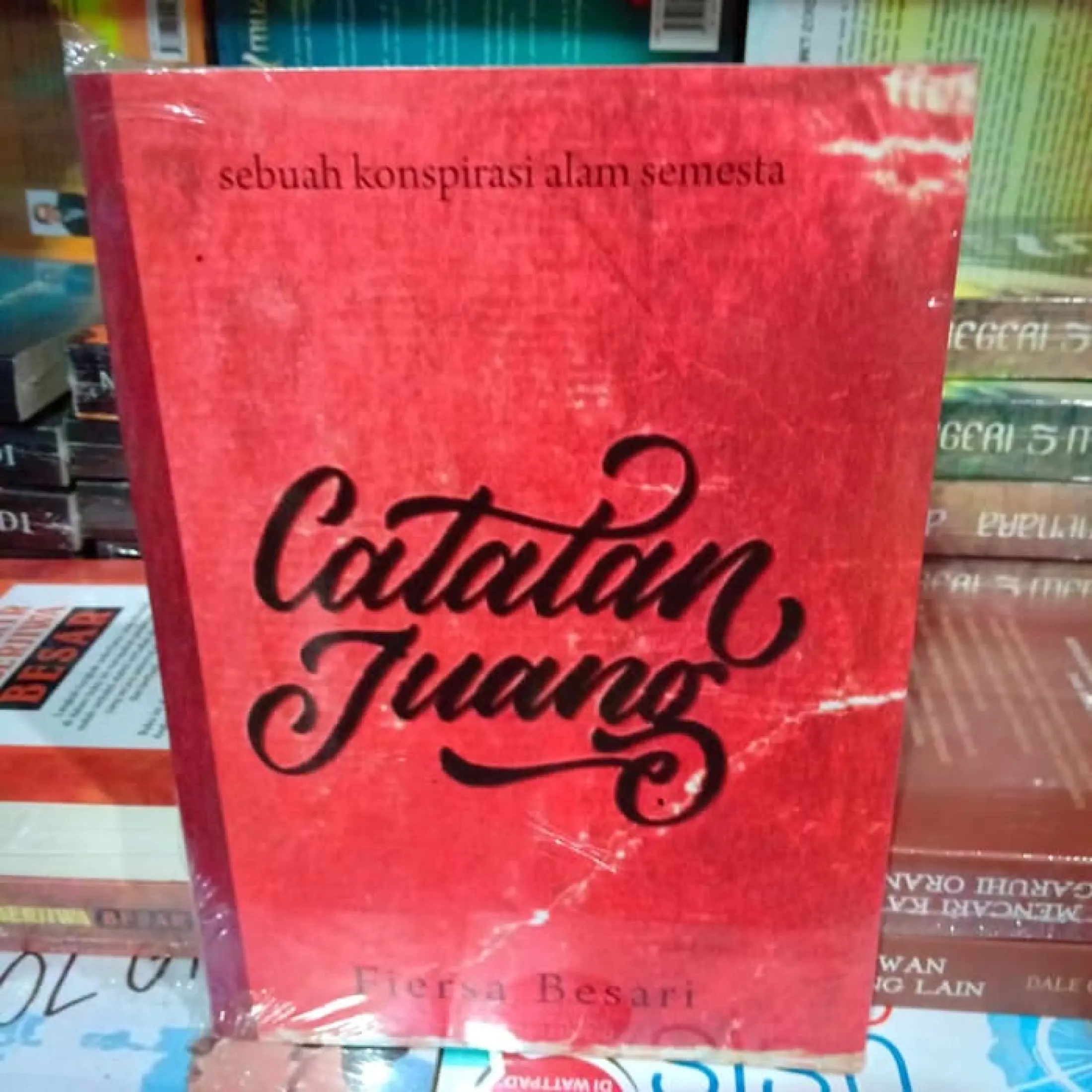 Novel Catatan Juang Fiersa Besari Lazada Indonesia