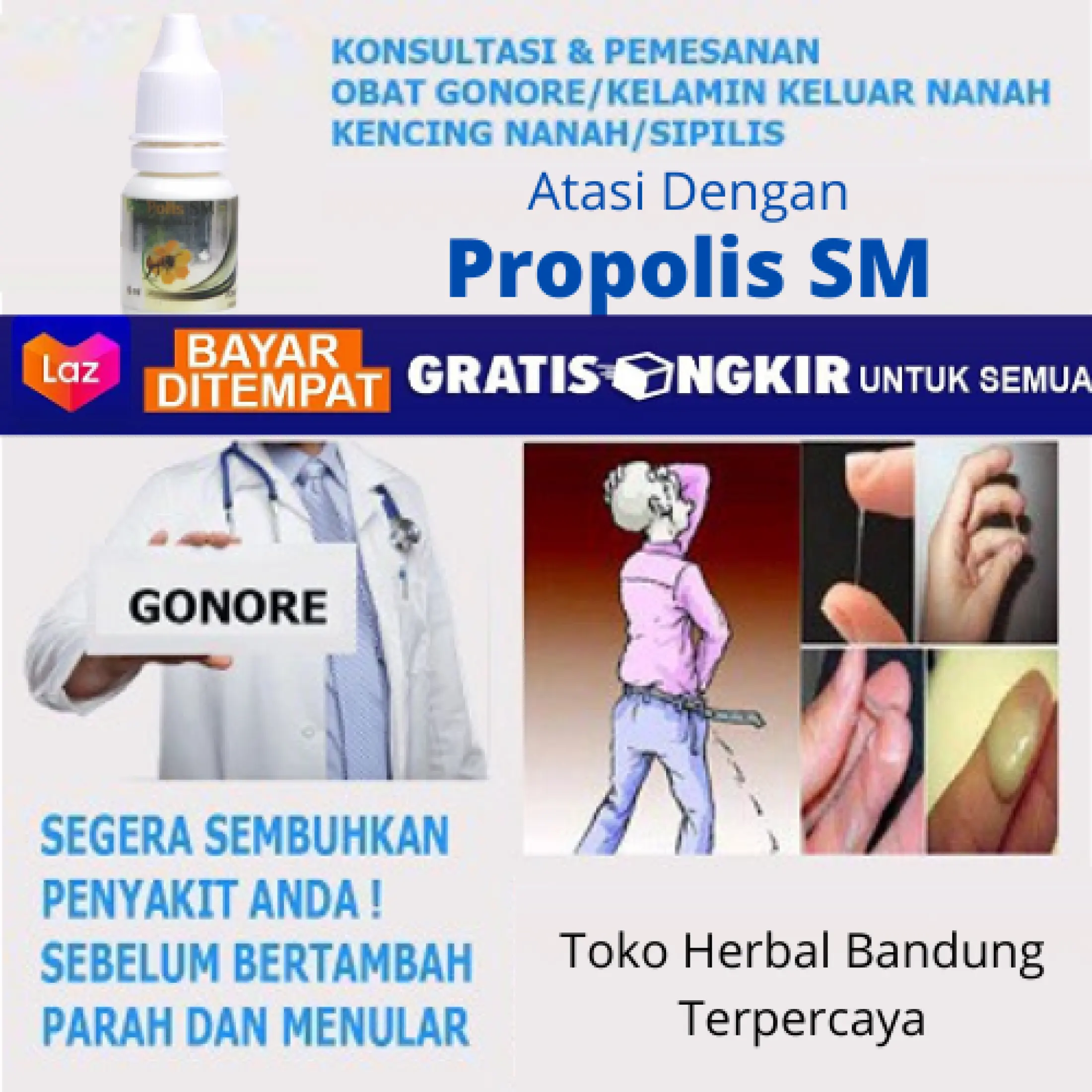 Obat Alami Spesialis Kencing Nanah Bisul Di Kemaluan Gatal Di Kemaluan Sakit Saat Kencing Kencing Perih Gonore Bisul Di Kemaluan Gatal Di Kemaluan Sipilis Raja Singa Hepatitis Propolis Sm 100 Herbal Original