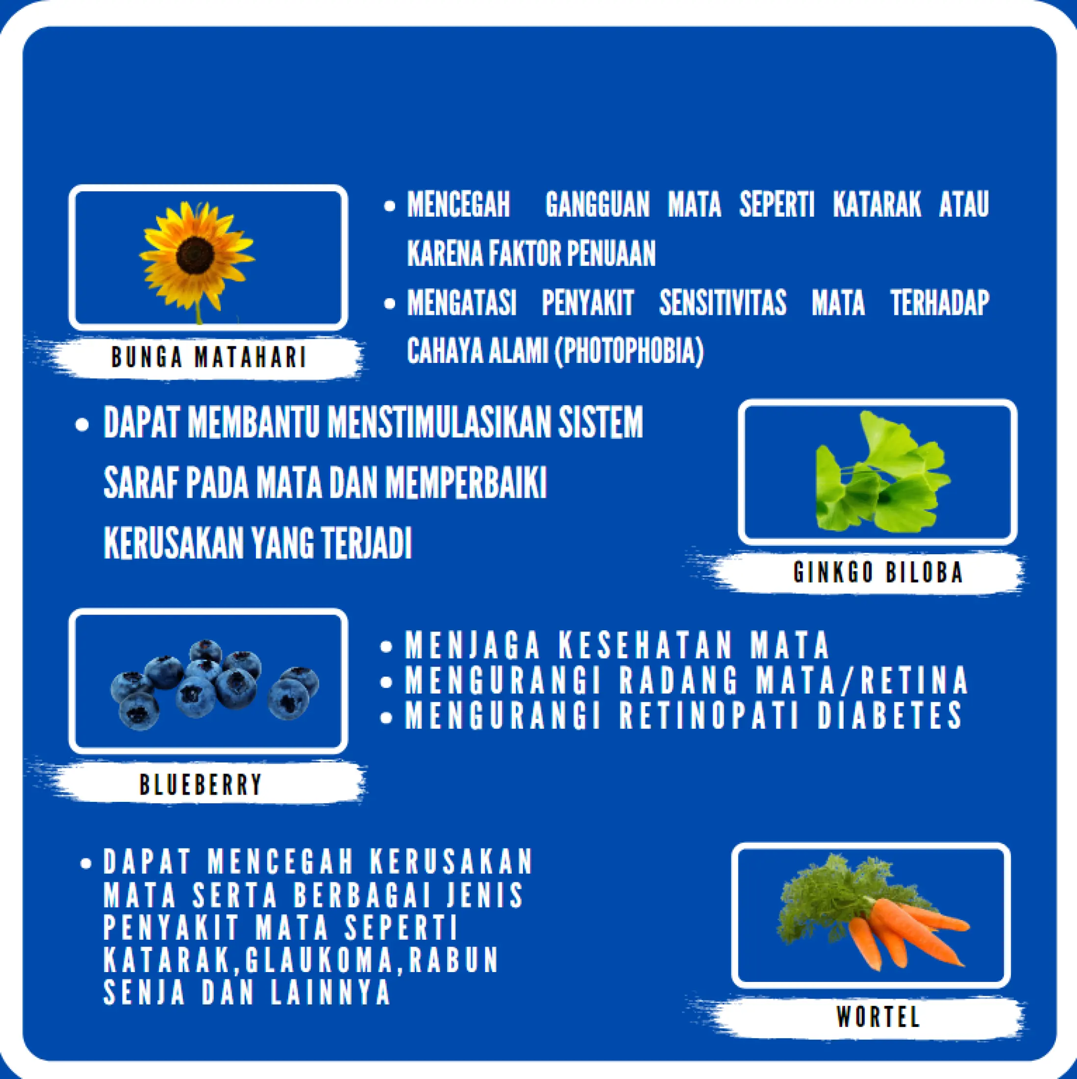 Obat Kanker Tumor Mata Buta Warna Katarak Berlemak Juling Sebelah Ablasio Retina Putus Glaukoma Penurun Mata Minus Tinggi Plus Silinder Rabun Jauh Dekat Merah Kuning Iritasi Gatal Perih Sakit Bengkak Belekan Berair